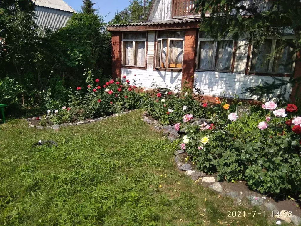 Дом в Омская область, Омский район, с. Розовка, Дорожник СНТ  (58 м) - Фото 1