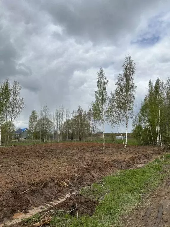 Участок в Новгородская область, Новгородский район, Бронницкое с/пос, ... - Фото 1