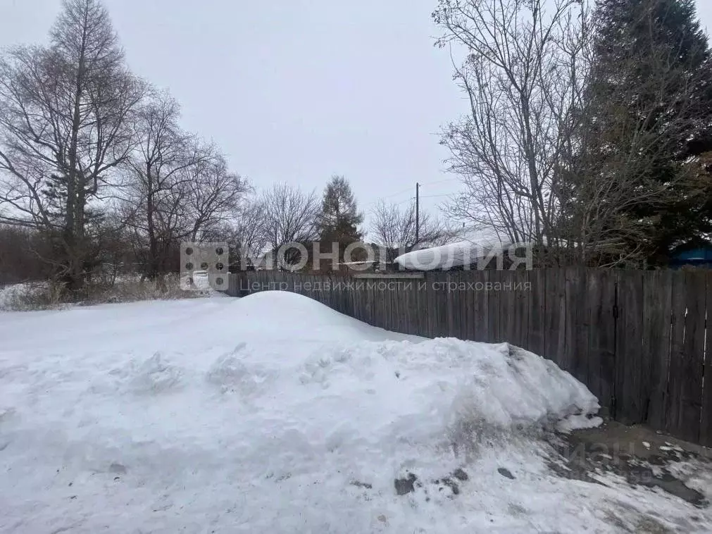 Дом в Амурская область, Серышевский муниципальный округ, с. ... - Фото 2