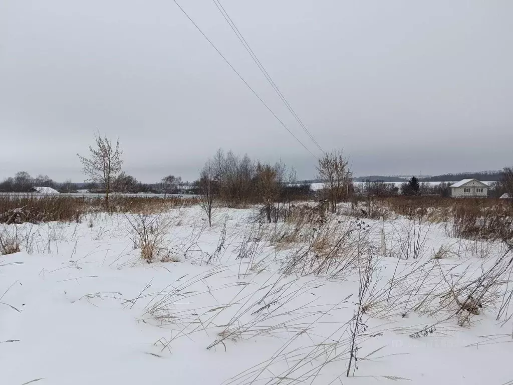 Участок в Нижегородская область, Нижний Новгород с. Запрудное,  (13.0 ... - Фото 2