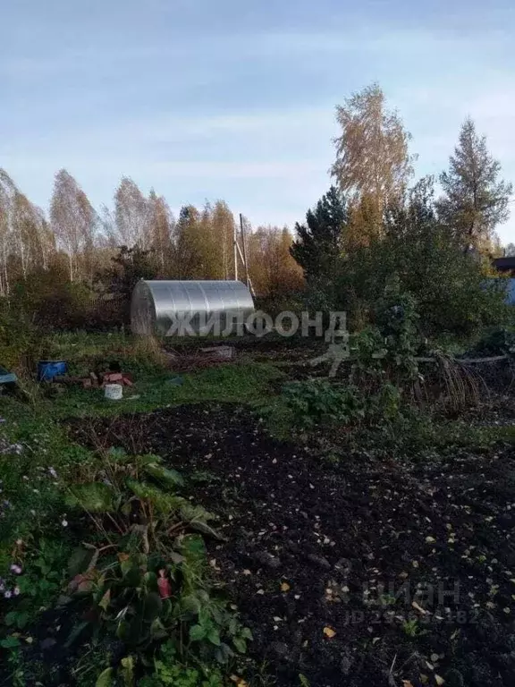 Дом в Томская область, Томский район, Надежда-1 садовое товарищество  ... - Фото 1