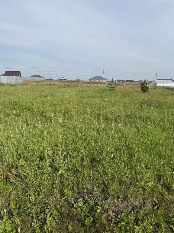 Участок в Свердловская область, Белоярский муниципальный округ, д. ... - Фото 1