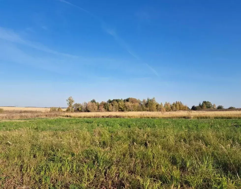 Участок в Московская область, Кашира городской округ, д. Никулино  ... - Фото 0