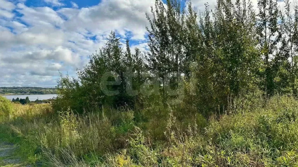 Участок в Вологодская область, Череповец пос. Якунино,  (15.0 сот.) - Фото 1