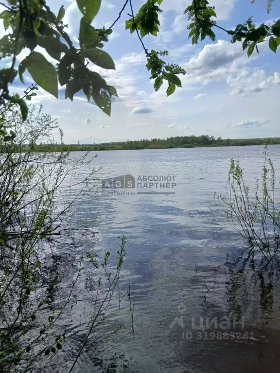 Участок в Новгородская область, Новгородский район, Савинское с/пос, ... - Фото 0