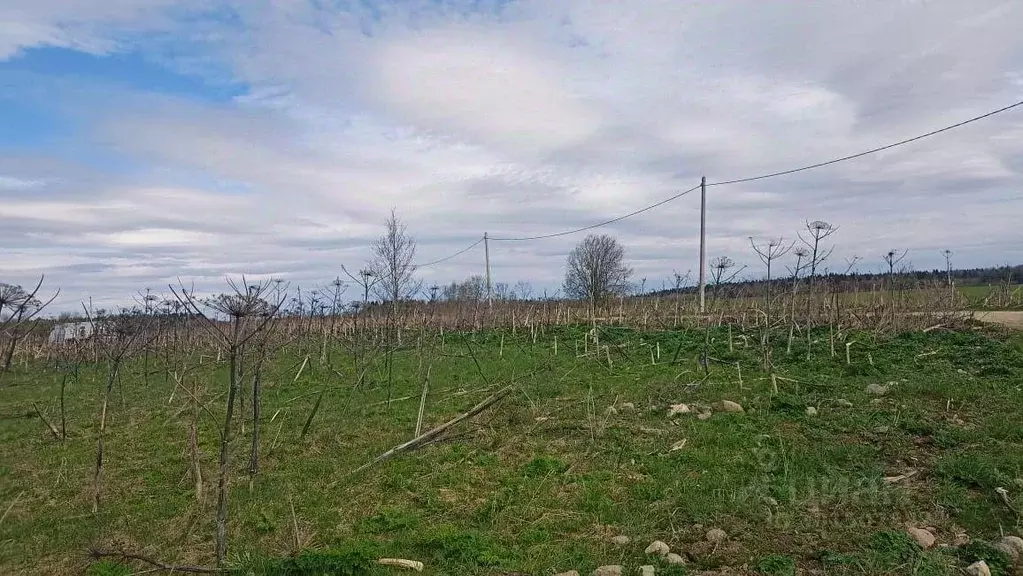 Участок, 12.5 сот., 0 - Фото 0