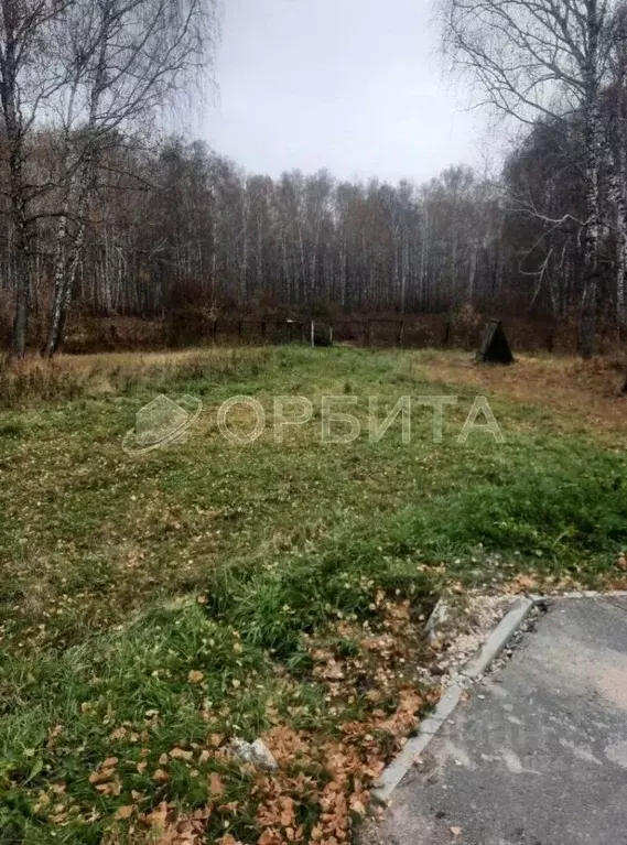 Участок в Тюменская область, Ялуторовский муниципальный округ, с. ... - Фото 1