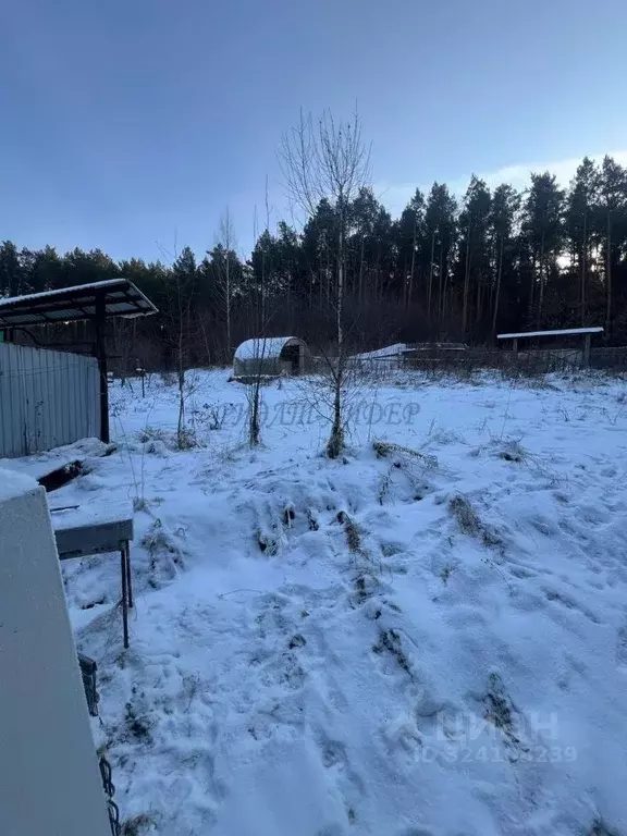 Дом в Алтай, Горно-Алтайск ул. Турочакская (42 м) - Фото 2