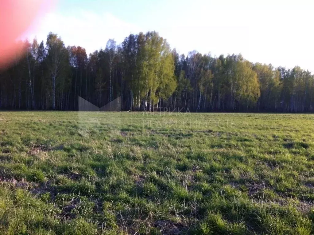 Участок в Тюменская область, Нижнетавдинский муниципальный округ, д. ... - Фото 2