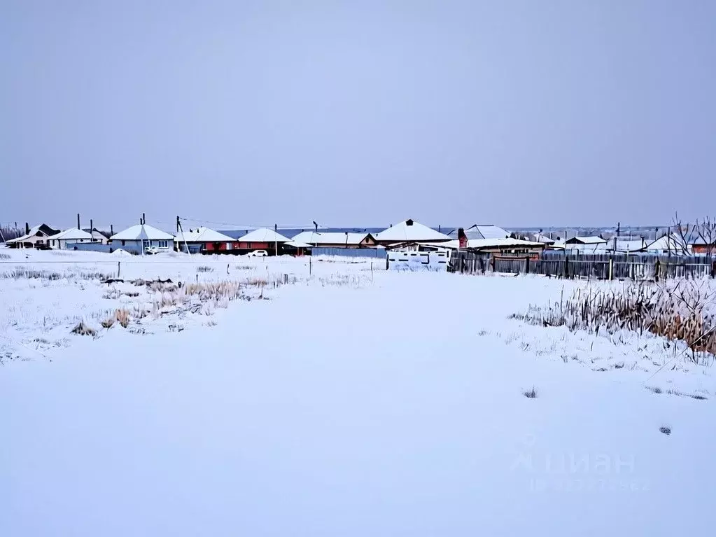 Участок в Оренбургская область, Оренбургский район, пос. Чкалов ул. ... - Фото 2