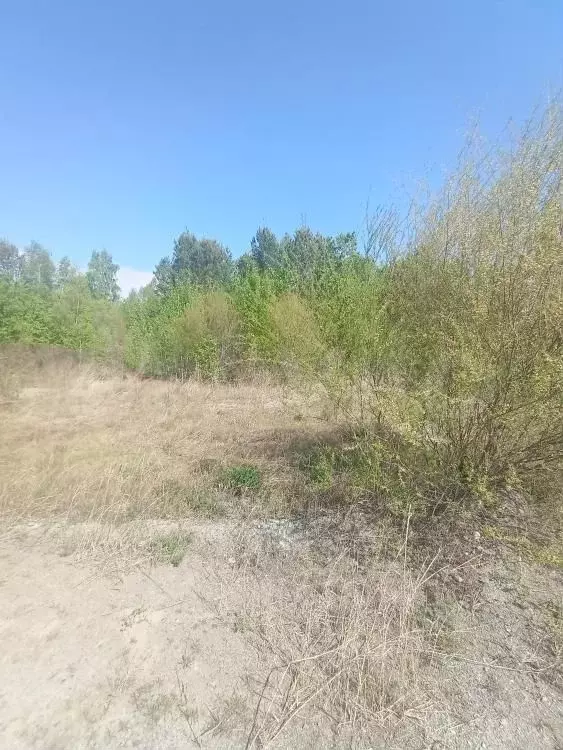 Участок 10 сот. (ИЖС) - Фото 0