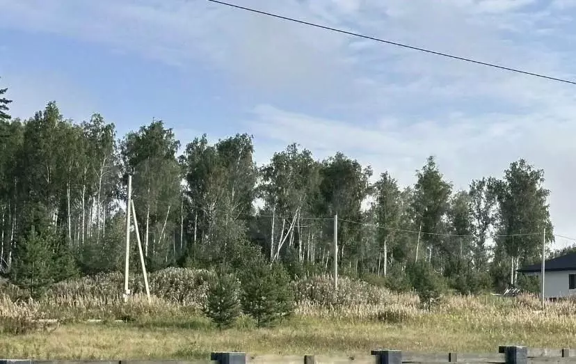 Участок в Челябинская область, Сосновский муниципальный округ, Ясное ... - Фото 0