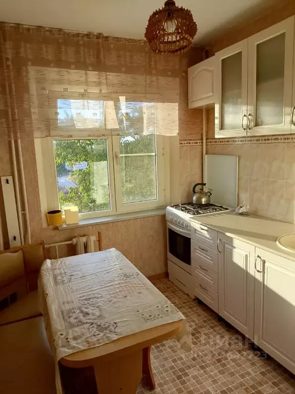 1-к кв. Краснодарский край, Сочи Донская мкр, ул. Гранатная, 10 (32.0 ... - Фото 2