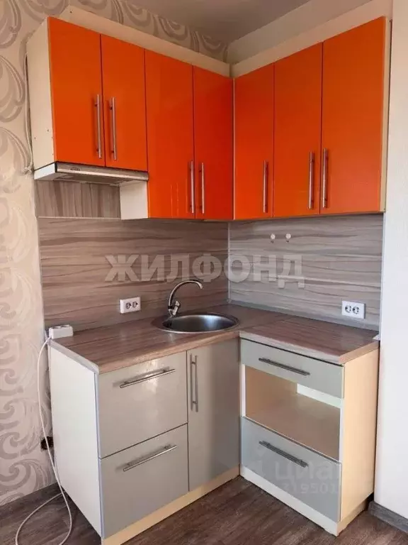 Студия Новосибирская область, Новосибирск ул. Виктора Уса, 13 (19.7 м) - Фото 1