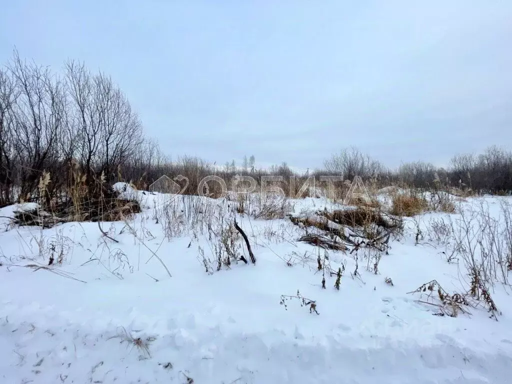 Участок в Тюменская область, Тюмень Большое Царево-1 ТСН,  (9.0 сот.) - Фото 0