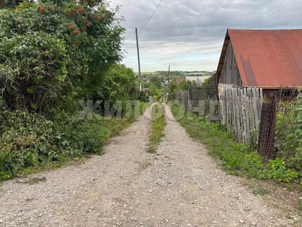 Участок в Алтайский край, Барнаул городской округ, Поселок Казенная ... - Фото 1
