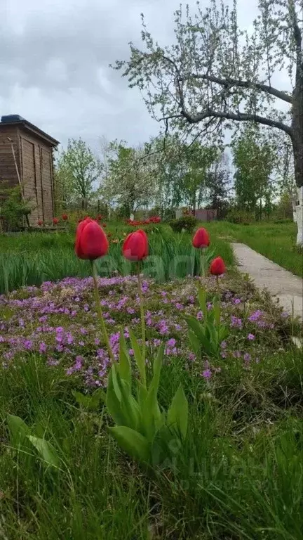 Дом в Саратовская область, Прогресс СНТ  (45 м) - Фото 2