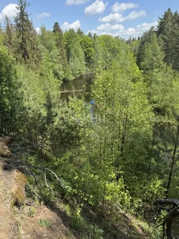 Участок в Нижегородская область, Бор  (122.0 сот.) - Фото 2