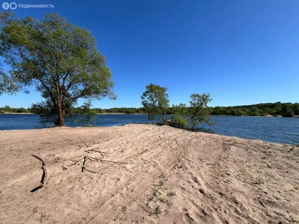 Участок в Калининградская область, Гвардейский муниципальный округ, ... - Фото 1
