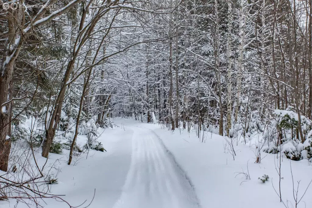 Участок в Тобольск, Алемасовская улица (12 м) - Фото 1