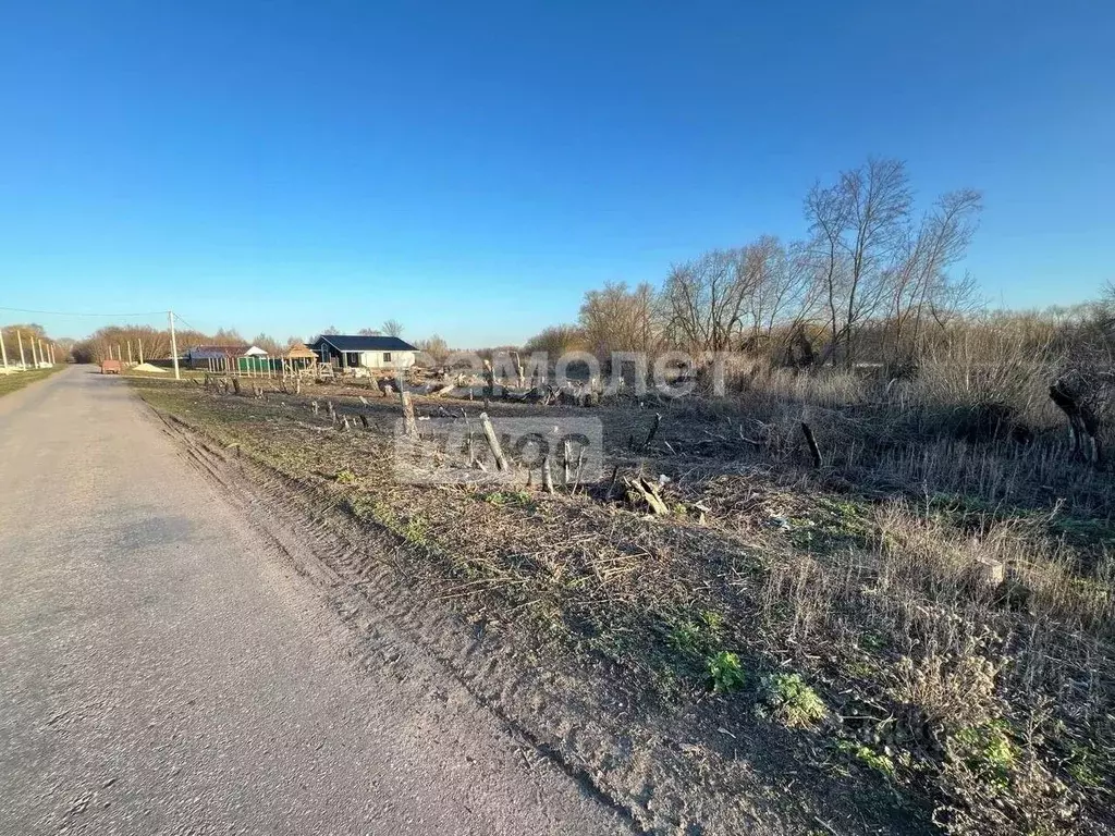 Участок в Липецкая область, Усманский муниципальный округ, с. ... - Фото 1