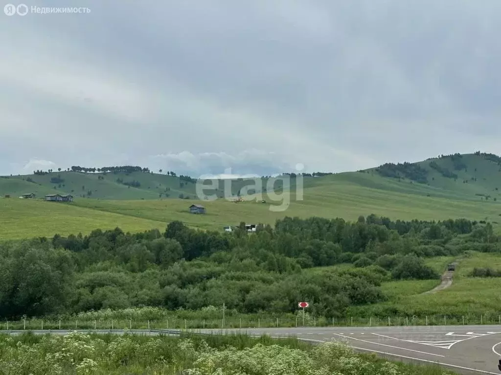 Участок в Алтайский район, ДНТ Жемчужина Алтая (10 м) - Фото 1