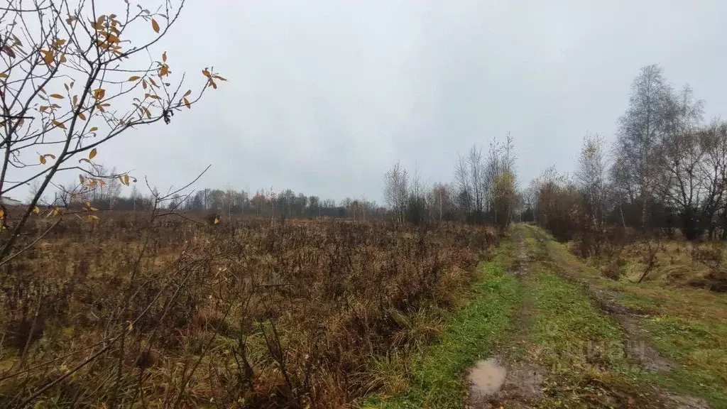 Участок в Московская область, Раменский муниципальный округ, д. ... - Фото 1