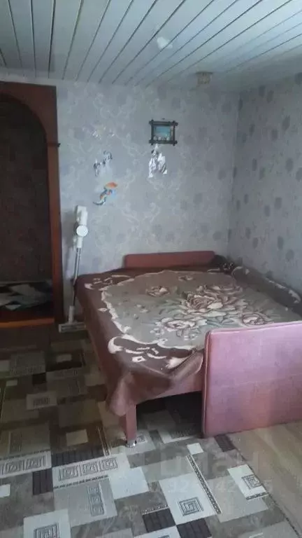 Дом в Алтайский край, Славгород ул. Льва Толстого, 61 (110 м) - Фото 1