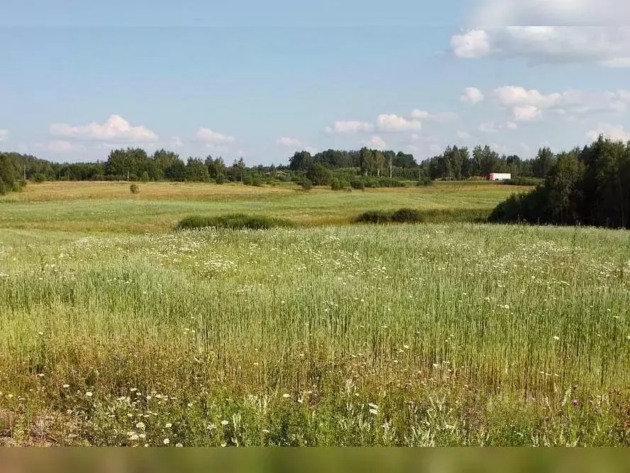 Участок в Московская область, Можайский муниципальный округ, Можайское ... - Фото 1