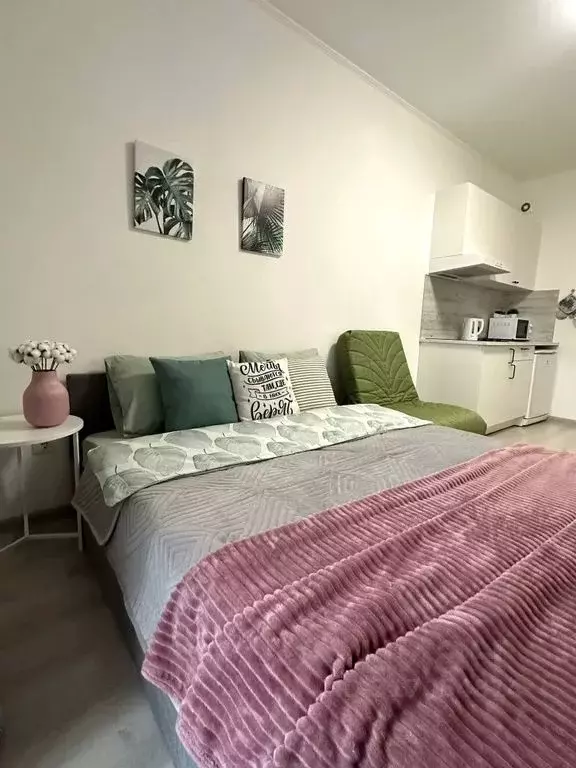 Студия Санкт-Петербург Кузнецовская ул., 58к1 (25.0 м) - Фото 0