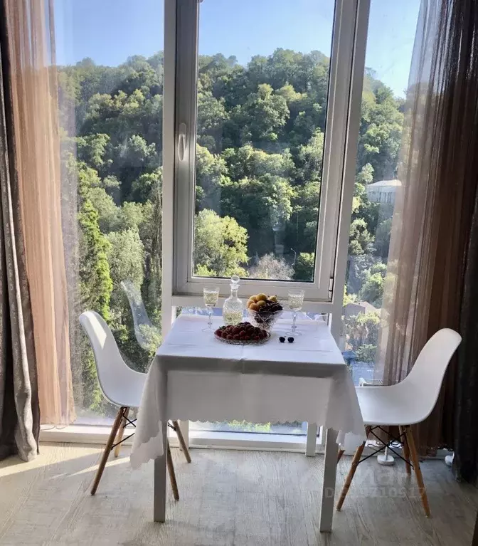 1-к кв. Краснодарский край, Сочи Хоста жилрайон, ул. Шоссейная, 3Е ... - Фото 1