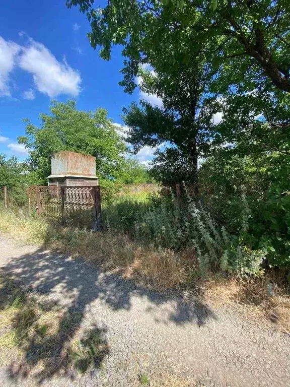 Участок в Ростовская область, Батайск Весна ДНТ, ул. 21-й Проезд (6.1 ... - Фото 2