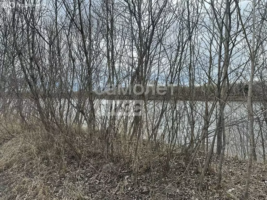Участок в село Максимовщина, Новая улица, 32 (13.099999 м) - Фото 1