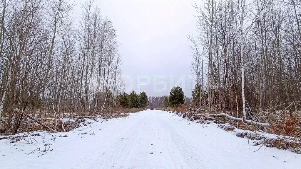 Участок в Тюменская область, Нижнетавдинский муниципальный округ, ... - Фото 1