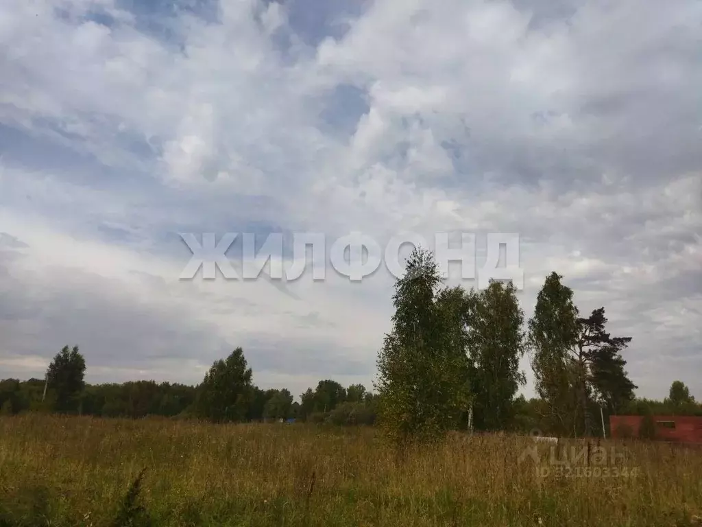 Участок в Новосибирская область, Новосибирский район, Станционный ... - Фото 0