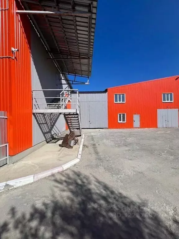 Производственное помещение в Московская область, Раменское ул. ... - Фото 1