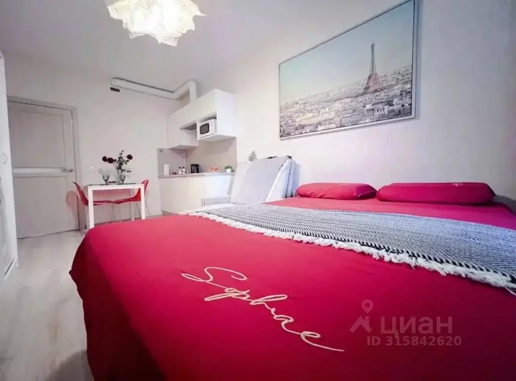 1-к кв. Санкт-Петербург Пулковское ш., 14с6 (28.0 м) - Фото 1