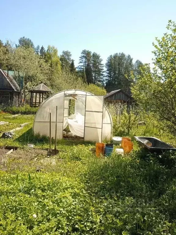 Дом в Кировская область, Кирово-Чепецкий район, Пасеговское с/пос, ... - Фото 1