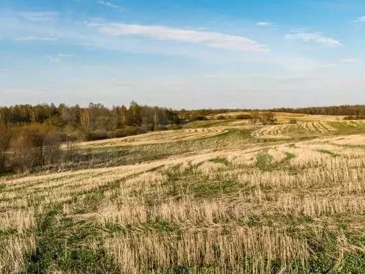 Участок 2 га (СНТ, ДНП) - Фото 0