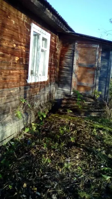 Помещение свободного назначения в Архангельская область, Устьянский ... - Фото 1