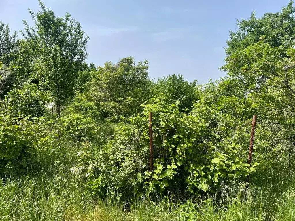 Участок в Краснодарский край, Краснодар Победитель СНТ, ул. Лазарева ... - Фото 1