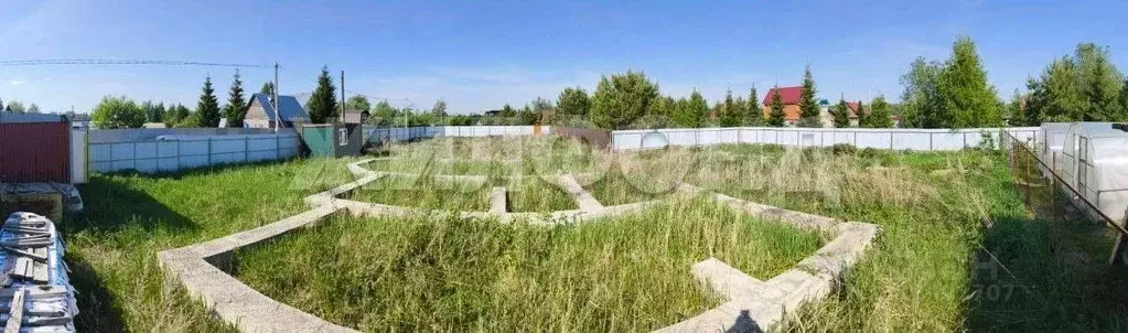 Участок в Новосибирская область, Колыванский район, Приобье СНТ ул. ... - Фото 1