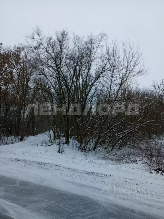 Участок в Ростовская область, Мартыновский район, Рубашкинское с/пос, ... - Фото 2