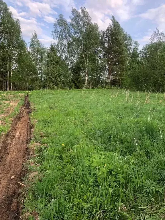Участок в Ленинградская область, Тосненский район, Нурминское с/пос, ... - Фото 2