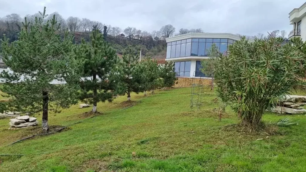 1-к кв. Краснодарский край, Сочи городской округ, с. Высокое ул. ... - Фото 2