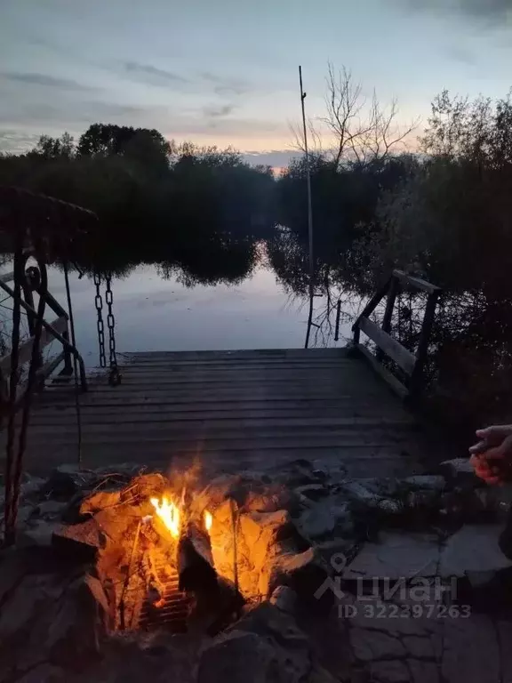 Дом в Курганская область, Белозерский муниципальный округ, с. Кошкино ... - Фото 2