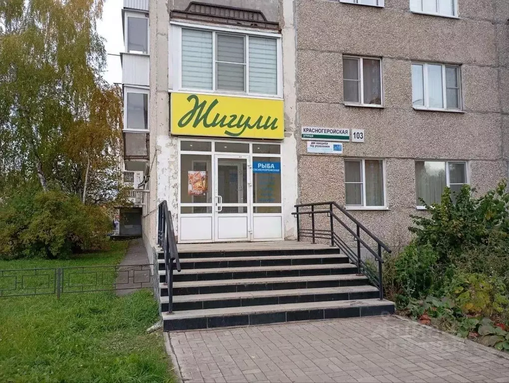 Помещение свободного назначения в Удмуртия, Ижевск Красногеройская ... - Фото 1