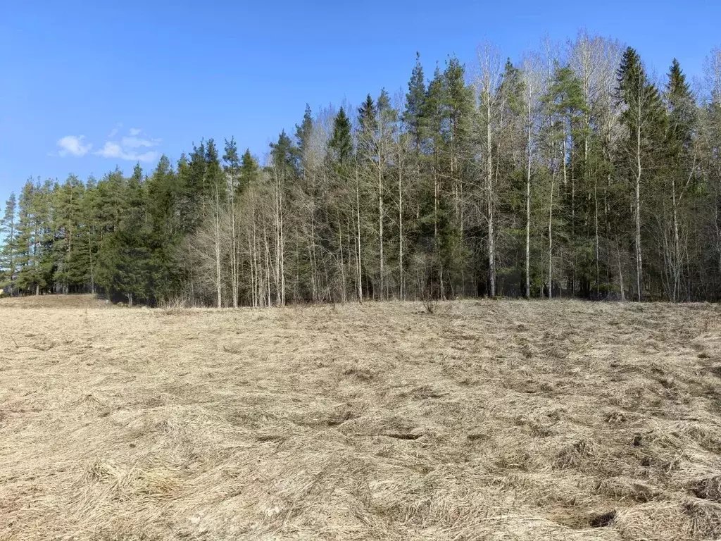 Участок 7 сот. (СНТ, ДНП) - Фото 0