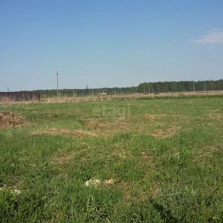 Участок в Ленинградская область, Ломоносовский район, Аннинское ... - Фото 1