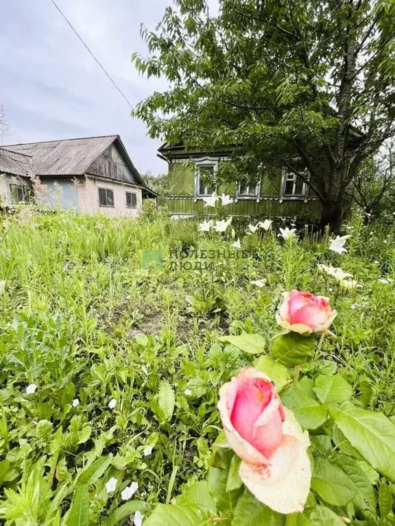 Дом в Орловская область, Орловский муниципальный округ, пос. Ивановка ... - Фото 2